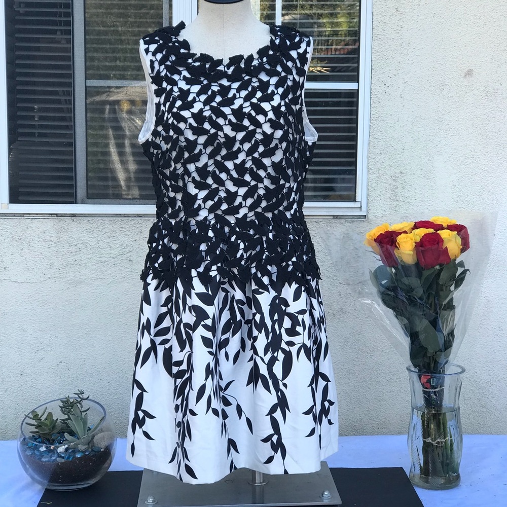 Feinuo dress in size S